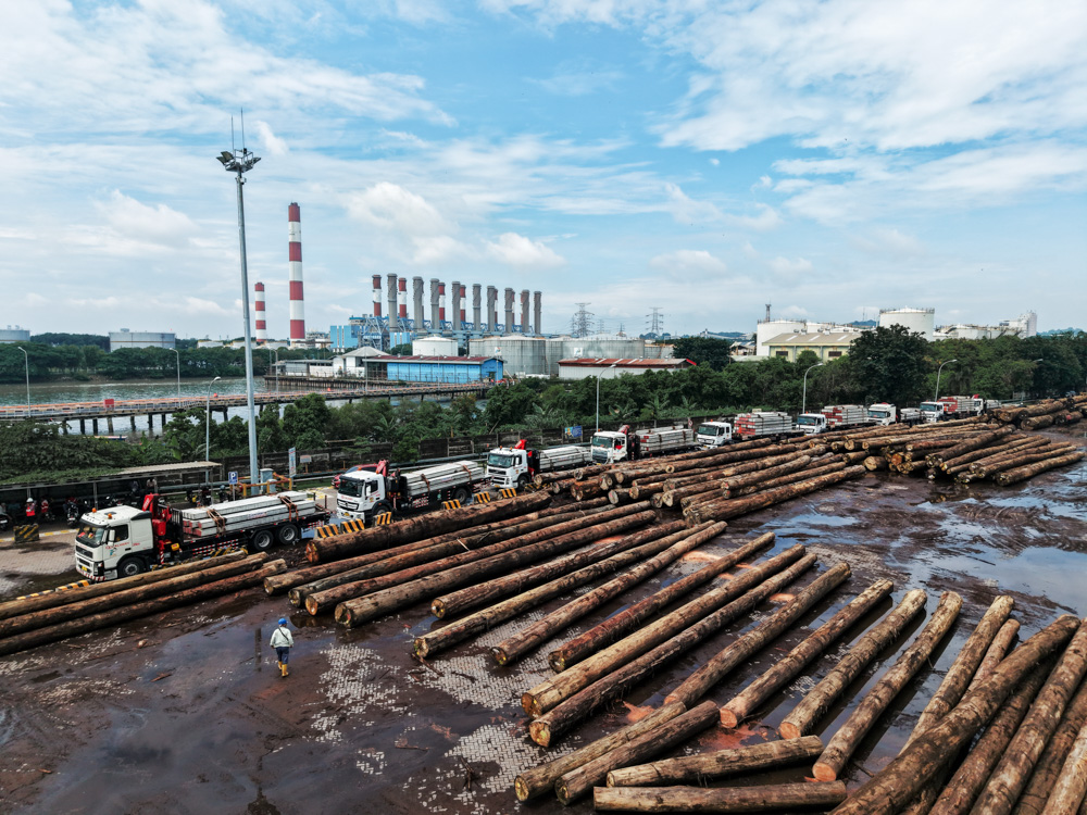 PILE DELIVERY TO BORNEO